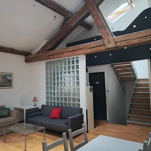  Alloggio in famiglia Loft Viarhona, Grand Loft En Centre-ville Francia